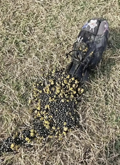 公园的草地上发现的，啥东西啊?