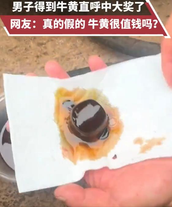 5月13日，云南一男子处理牛内脏时随手一翻，竟翻出个“天价宝贝”，看清后直接直呼