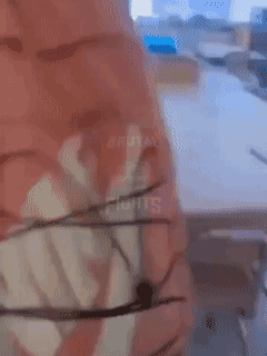 美国某学校，事情起因是白人女孩不小心踩到了一名黑人女孩的新乔丹鞋......结