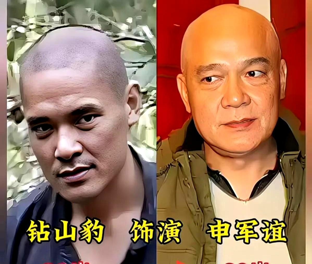 当年的反派，现在还是主角。申军谊演的钻山豹，谁还记得？那年看剧，以为他是坏人