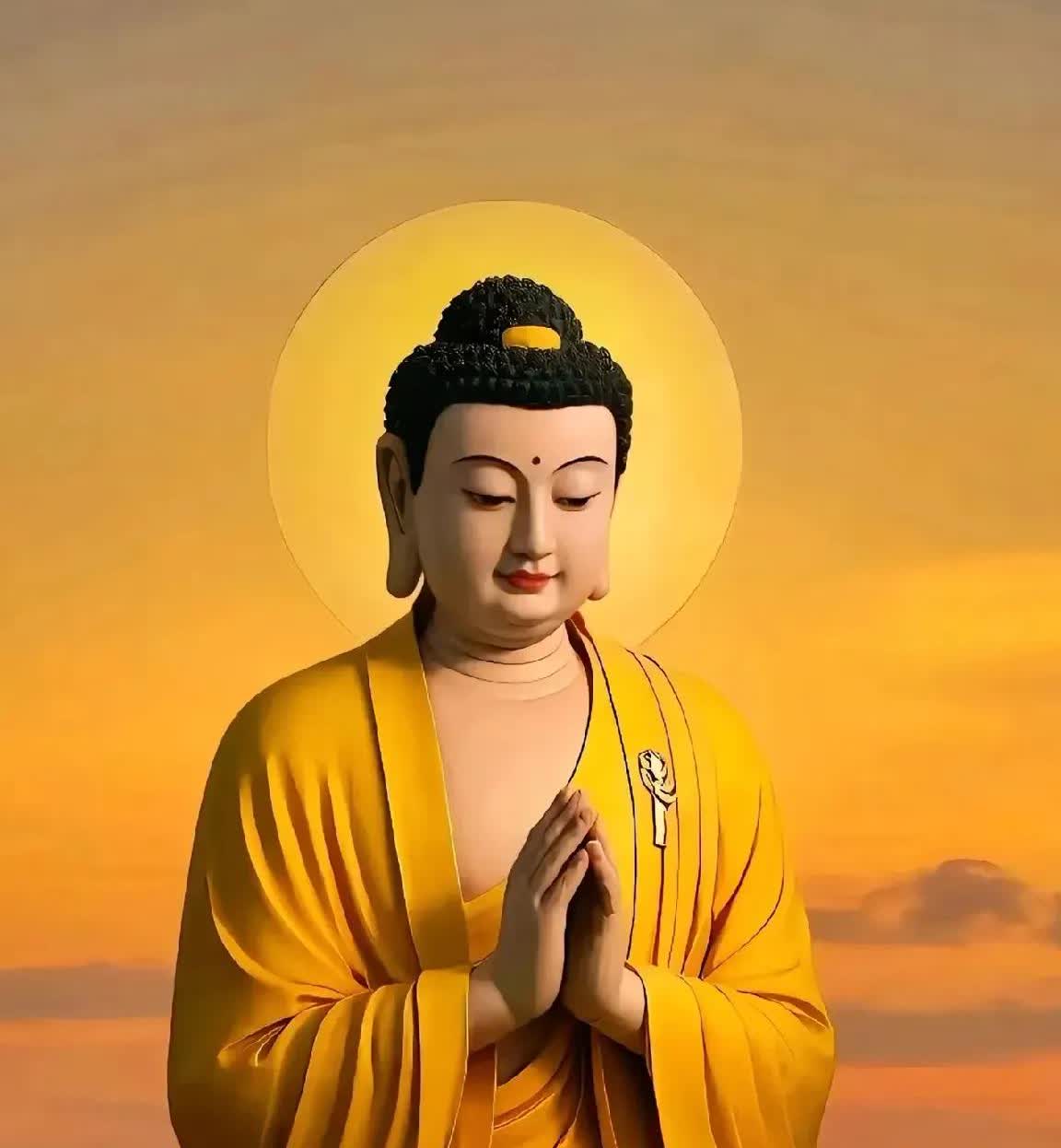 种子破土前，总与黑暗为伴；你离光有多近，黑暗就有多深。