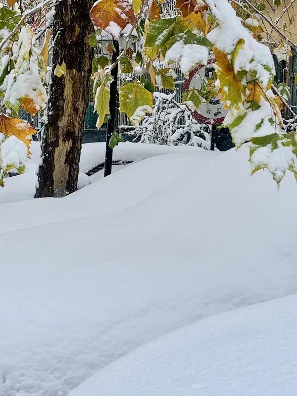 暴雪、大雪、暴雨真要来了哈！今明两天（10月26至27日），冷空气一路