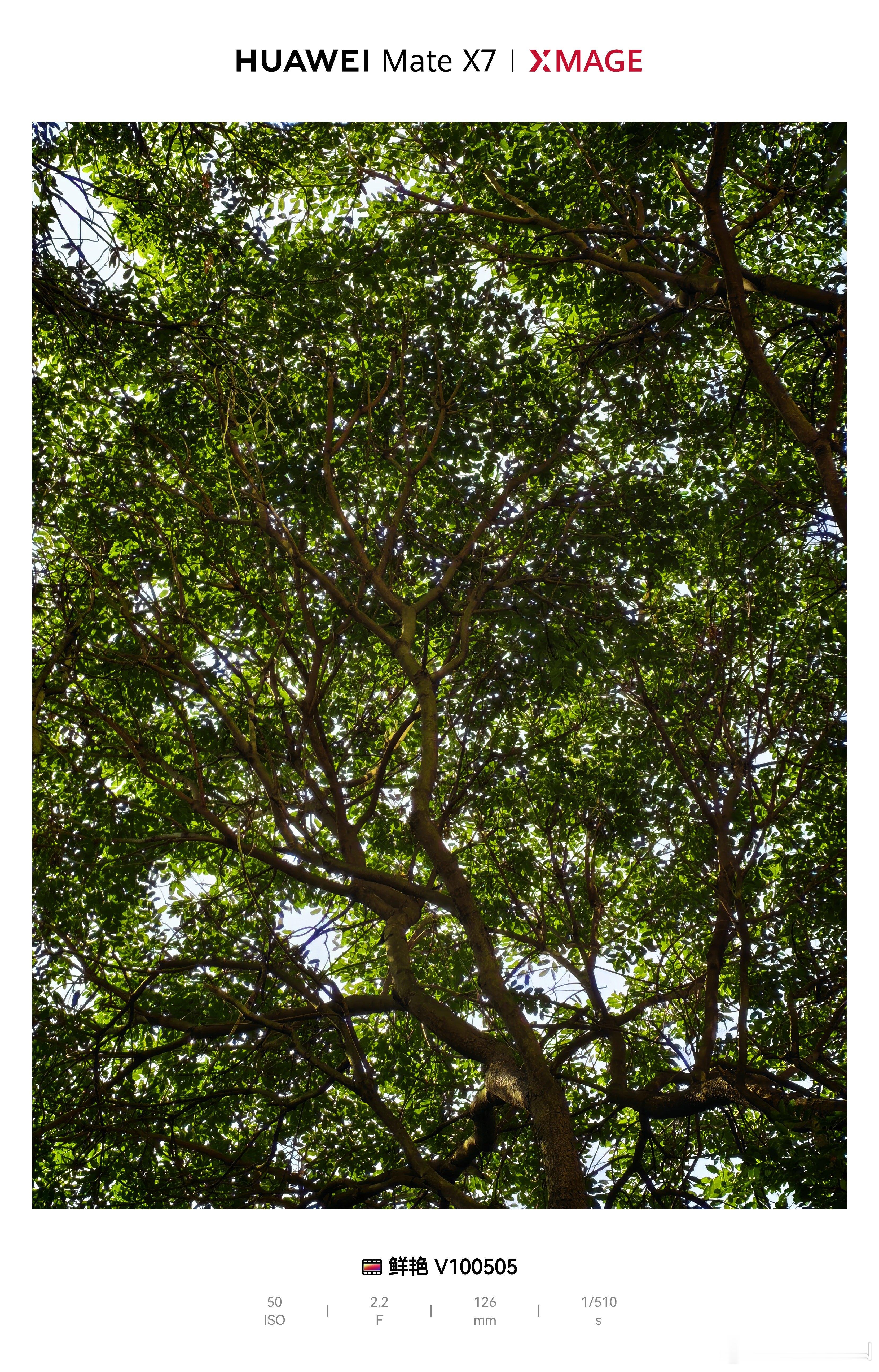 要不要先看看华为MateX7典藏版的摄影表现？深圳·深圳东海朗廷酒店