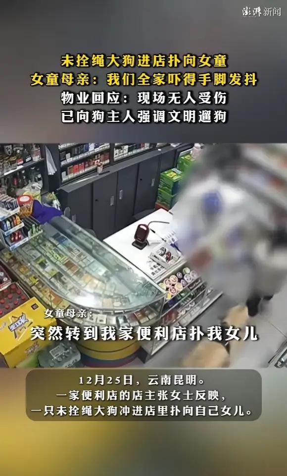“必须严惩！”12月25日，云南昆明，一女子带女儿看店时，突然冲进来一只未拴绳的