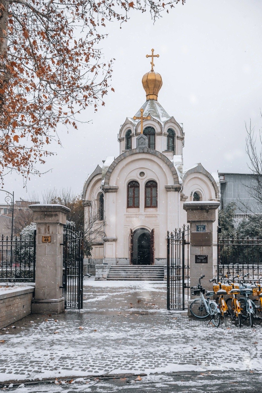 北大教授的一段演讲，震撼了所有人的三观：1. 人生最大的资产，如果把孩子培养成功