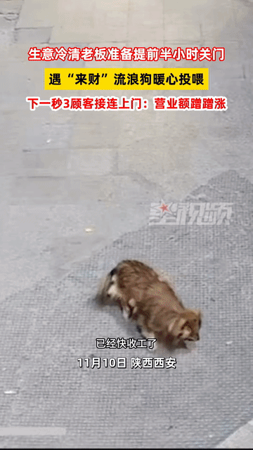 近日陕西西安一名麻辣烫店老板因为晚上八九点没人吃饭，决定提前关店，关门前发现门口