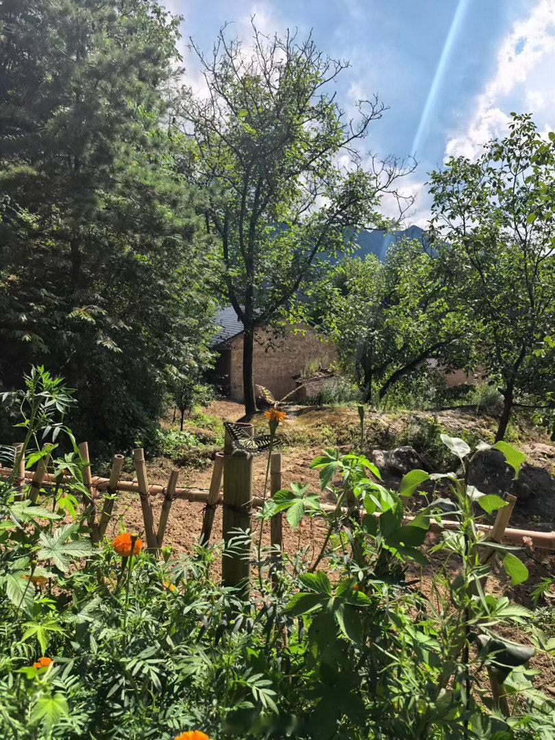 夏天避暑哪里去，秦岭山脉欢迎你。这地方看着不错，避暑乘凉好去处。西安