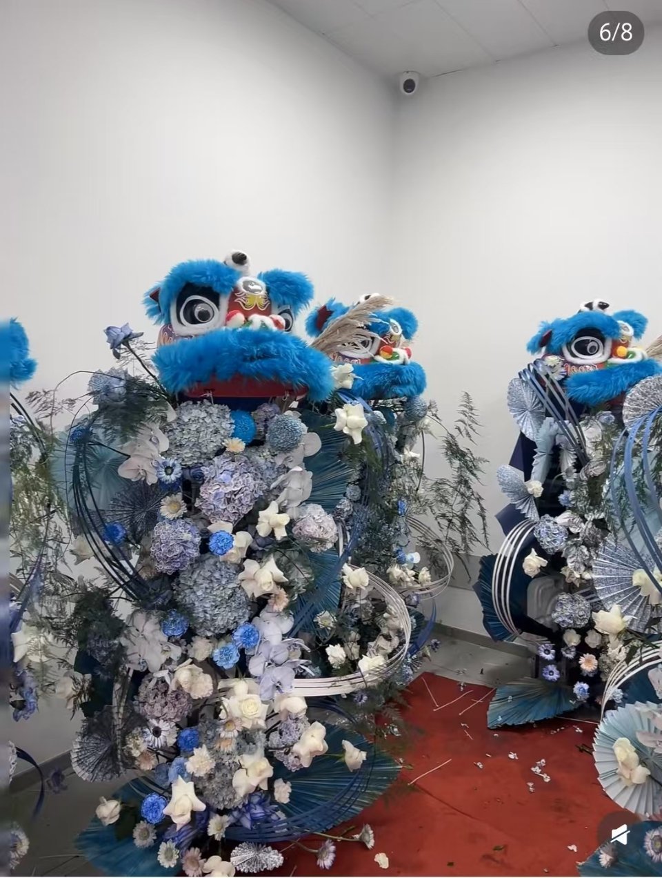 周深用解说方式打开周深彩排周深广州演唱会醒狮的花篮还挺好看的