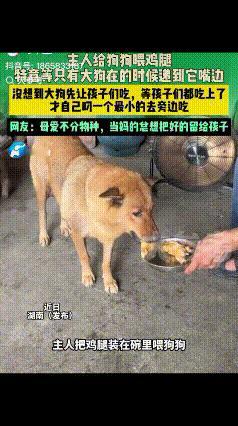 破防了！”湖南，主人趁小狗没在的时候给大狗喂鸡腿，一开始以为大狗会大块朵颐，没想