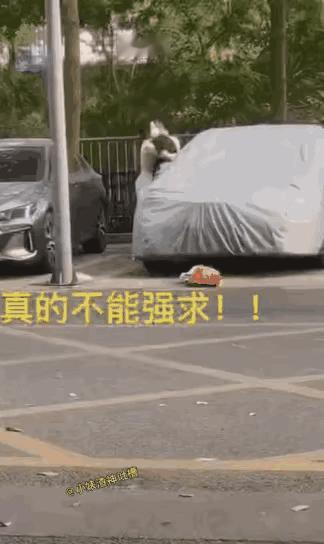 大白天的就开始送温暖了？