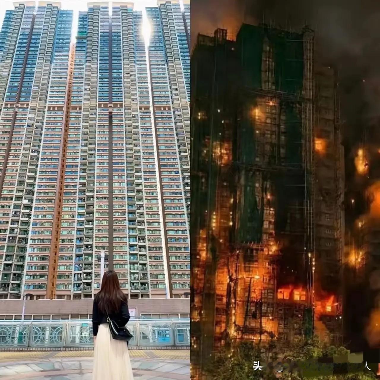 刚手贱搜了香港宏福苑，直接看傻了！这房子密集得跟鸽子笼似的，8栋楼挤了四千多人，