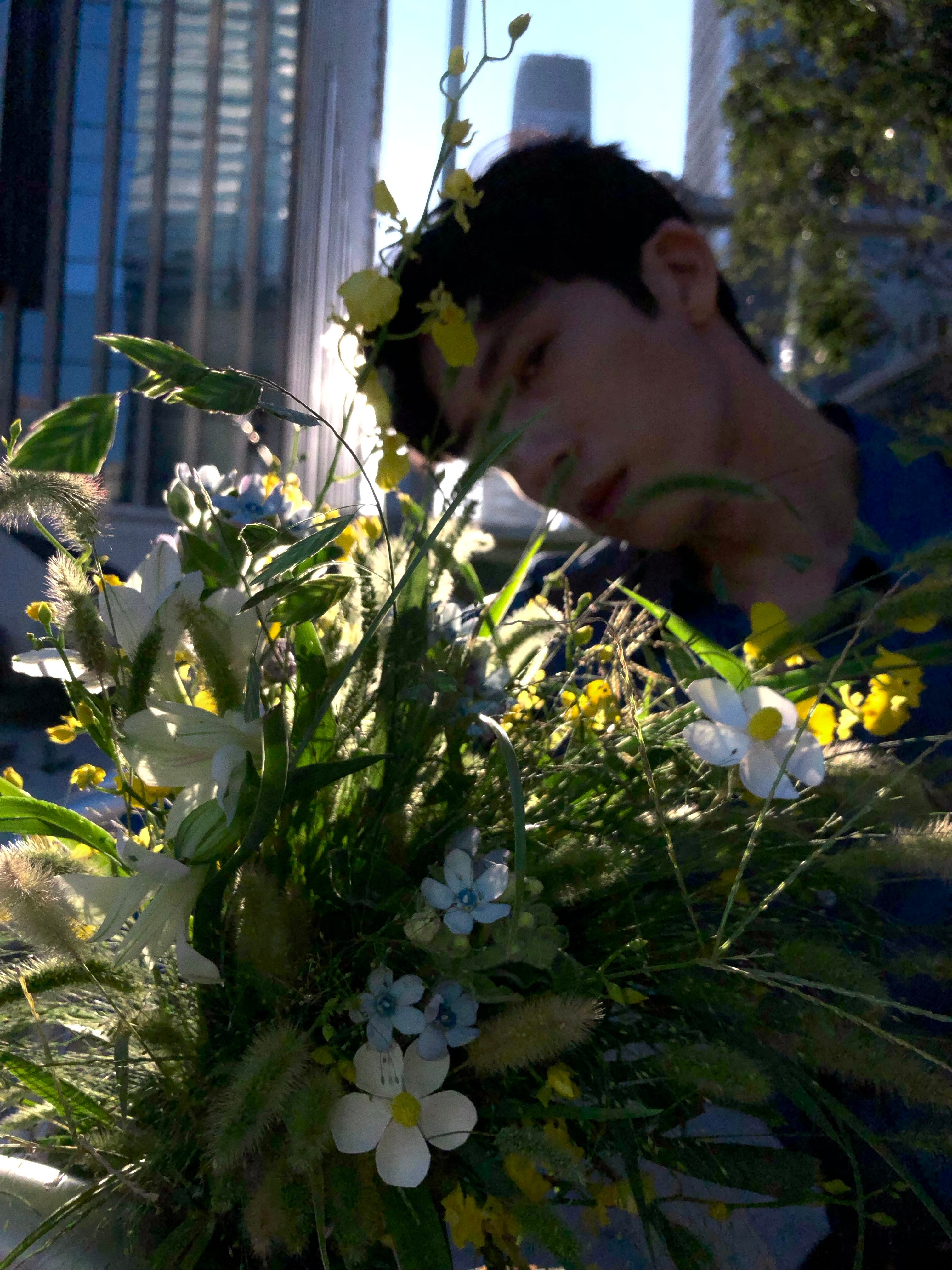 #井柏然# 📂#井柏然栾念#LookLuke日落，花束，下班路#早春晴朗#​