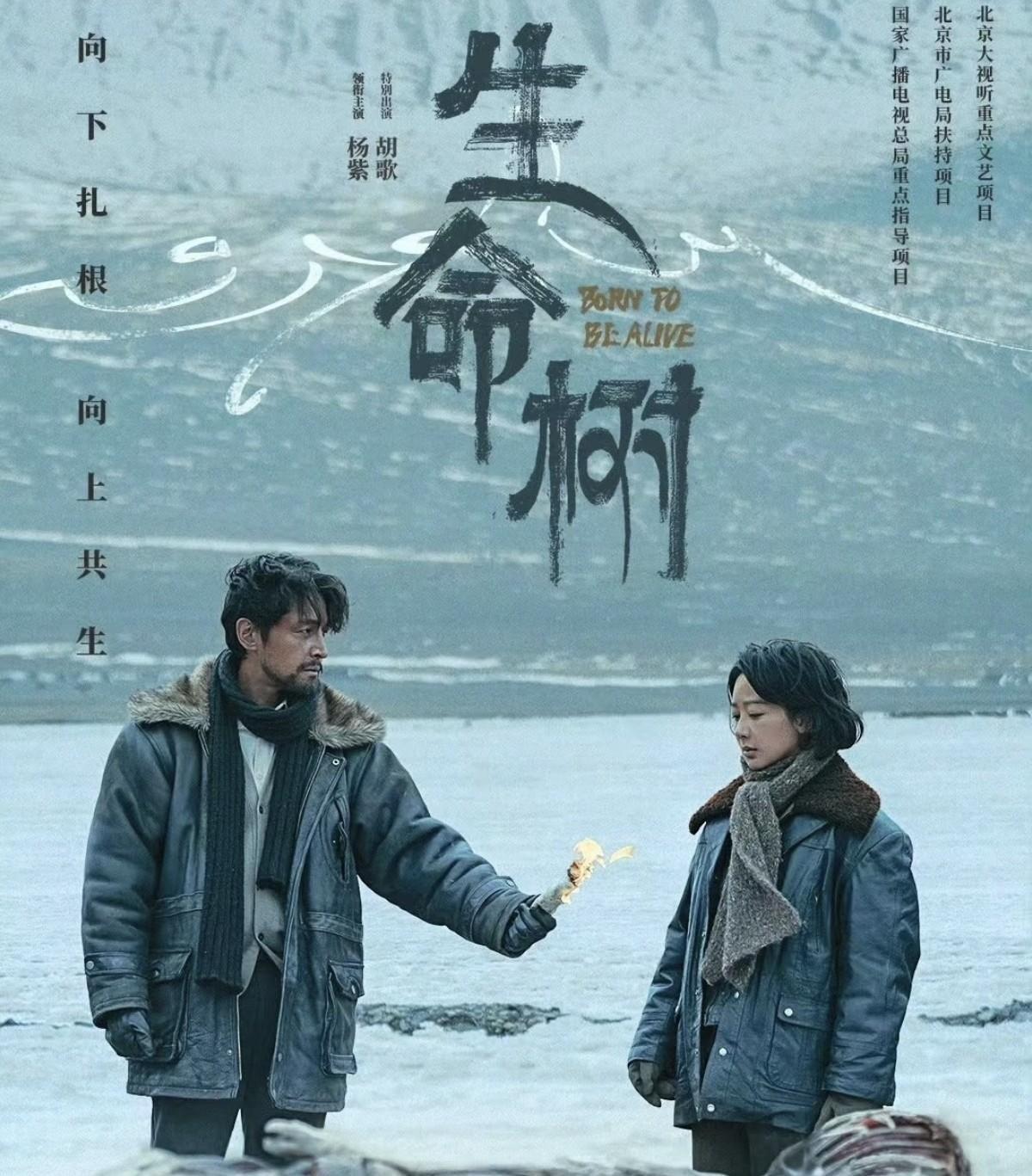 别再信什么“信念感”了。胡歌杨紫在海拔4800米喘的每一口气，流的每一滴汗，才