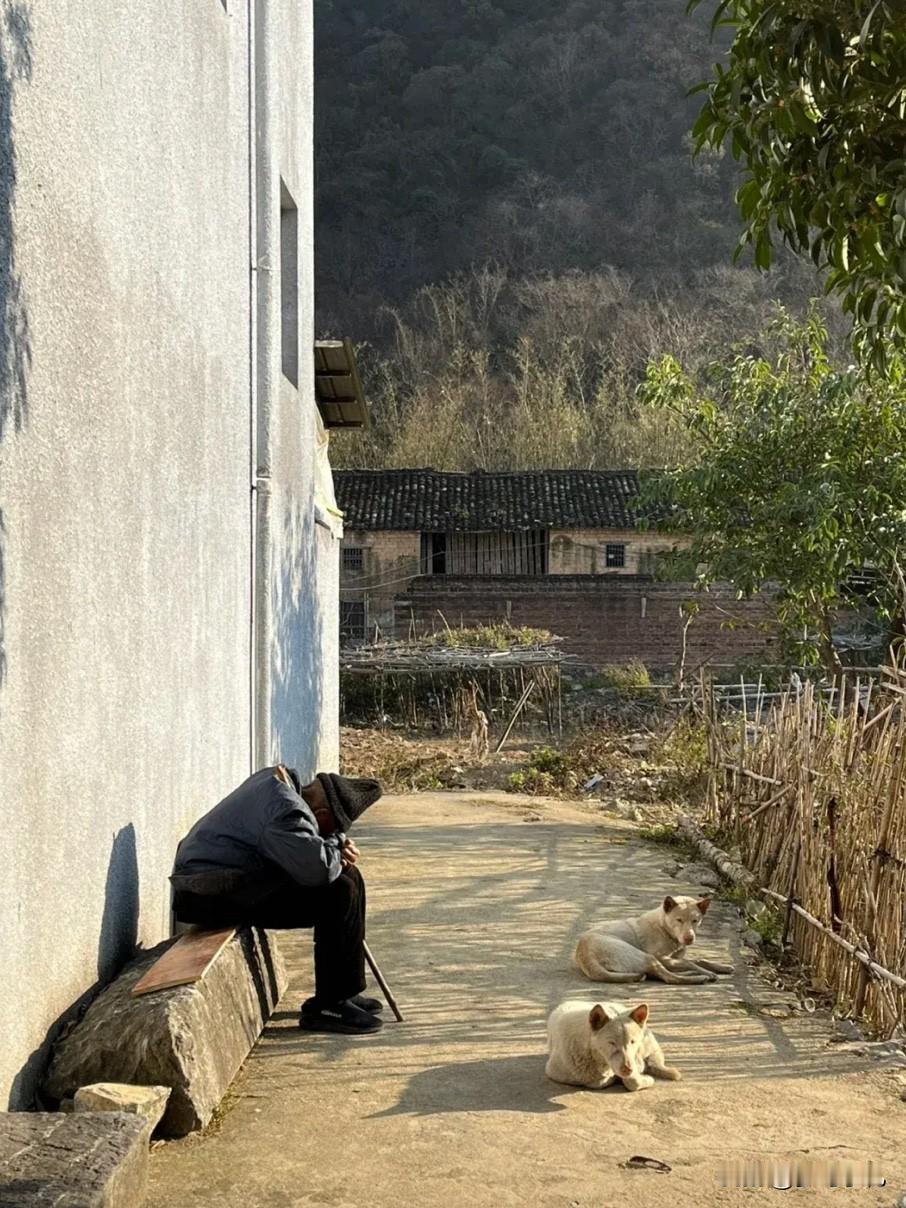 等到了63岁，我打算这样过：1.不再工作，延迟退休刚好也到时间，每月领着三五千