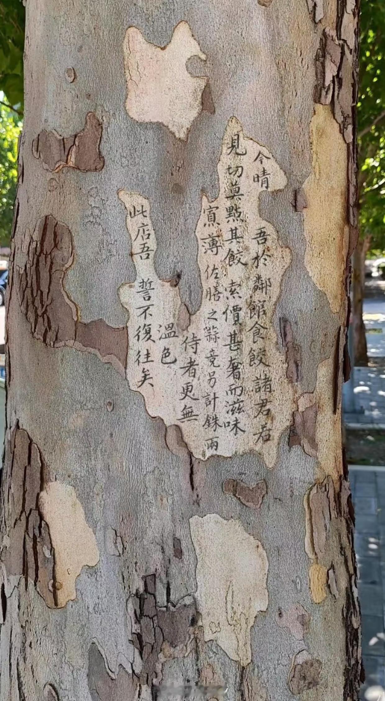 能看出来，这家饺子馆真的很难吃了，还贵。逼得客人一出来就往树上写字吐槽[大笑][