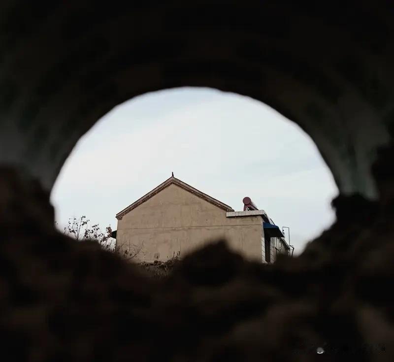 处女座的聪明来源于哪里?处女座的聪明，主要源于强大的观察力和逻辑思维。他们有着