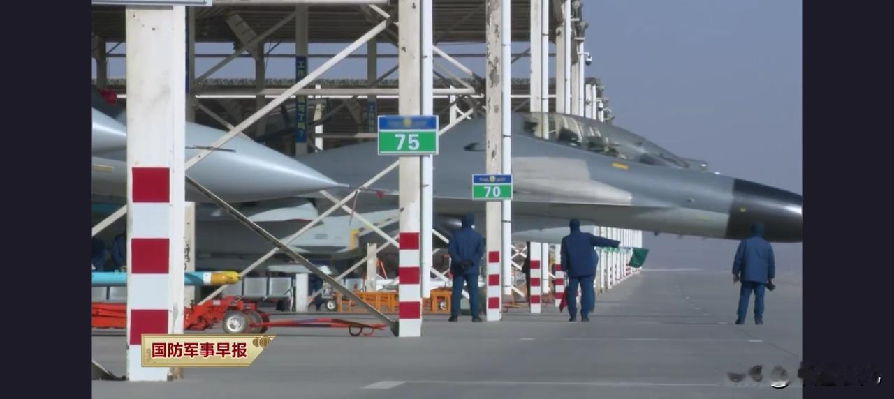 央视公开，歼11高原战备画面！单座双座全出动，灰色雷达罩是啥？最近央视报道里