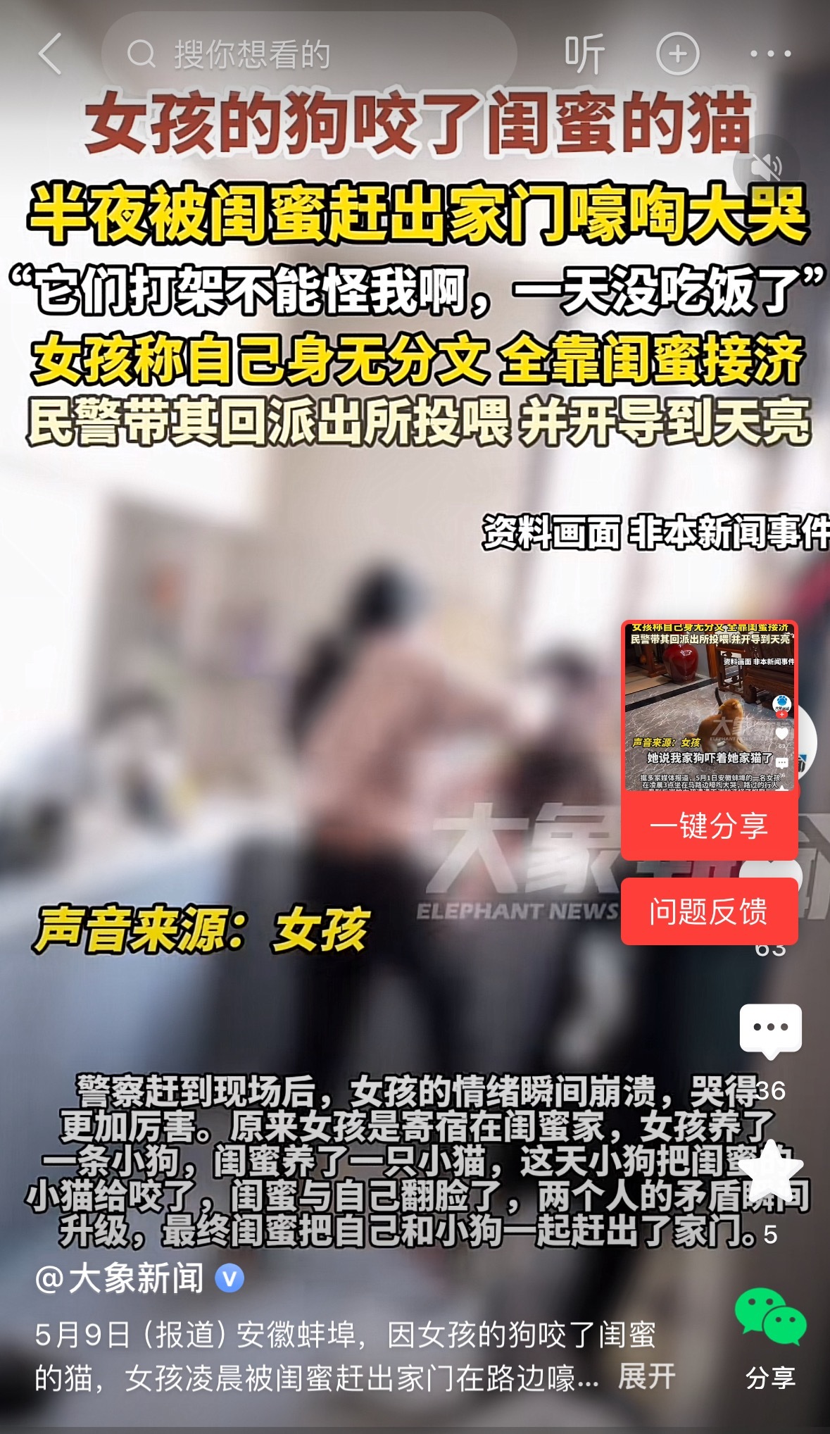 女孩的狗咬了闺蜜的猫半夜被赶出家门嚎啕大哭​​​