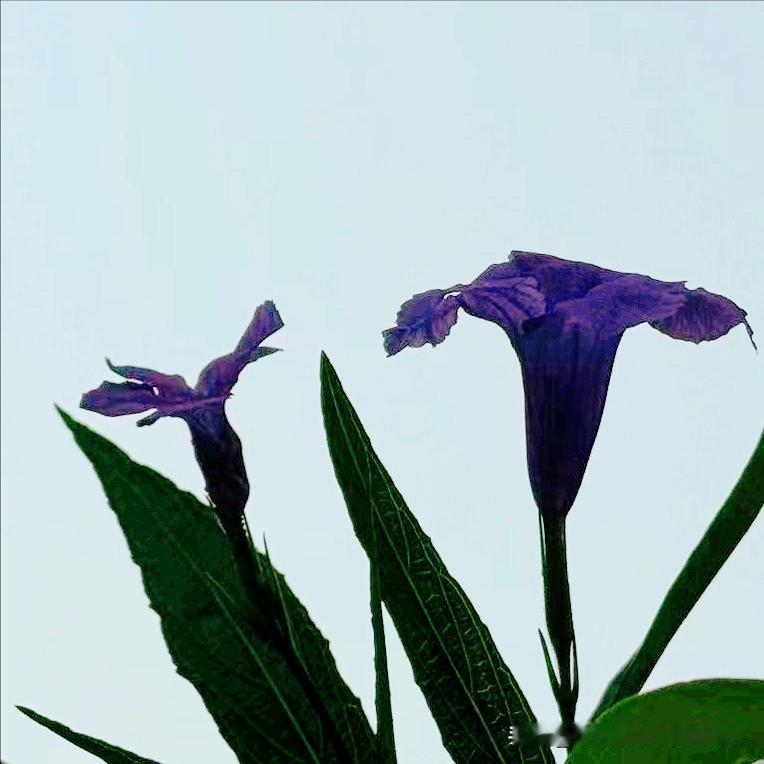 江苏：执纪审查1人 4月8日，该省执纪审查1人，为退休已经7年、省上的医卫系