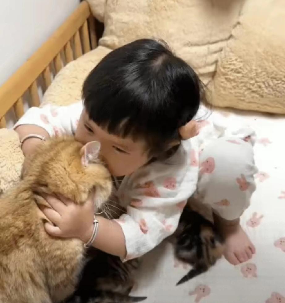 萌化了！闺女把大橘的小奶猫全薅床上亲，画面太暖谁能拒绝软乎乎的小奶猫和贴心