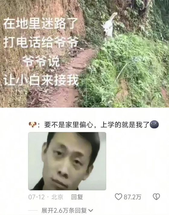 让狗带路回家小白:以后还是你看门吧，毕竟出门也不认识路​​​