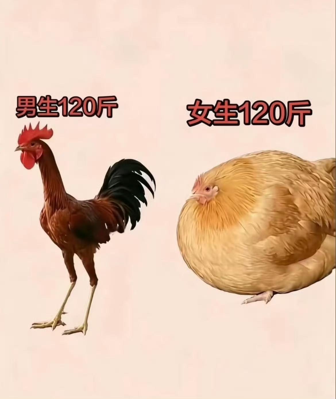 世界上最不理解的两件事。