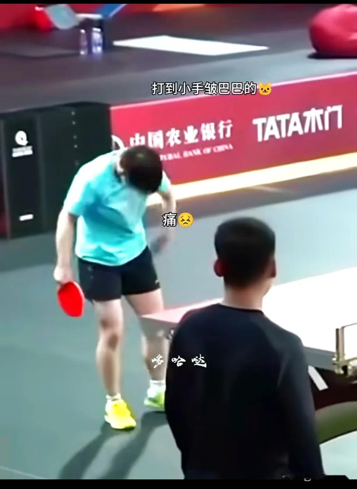 任女士:“儿子，让你去追太阳的，不是让你去当后羿的嘞！”这孩子[抠鼻]小王第一