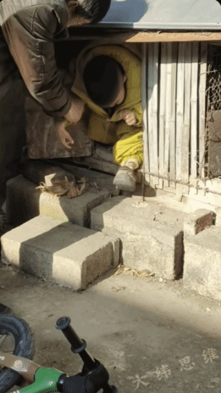 没他不敢做的，鸭子窝都被侵占了！