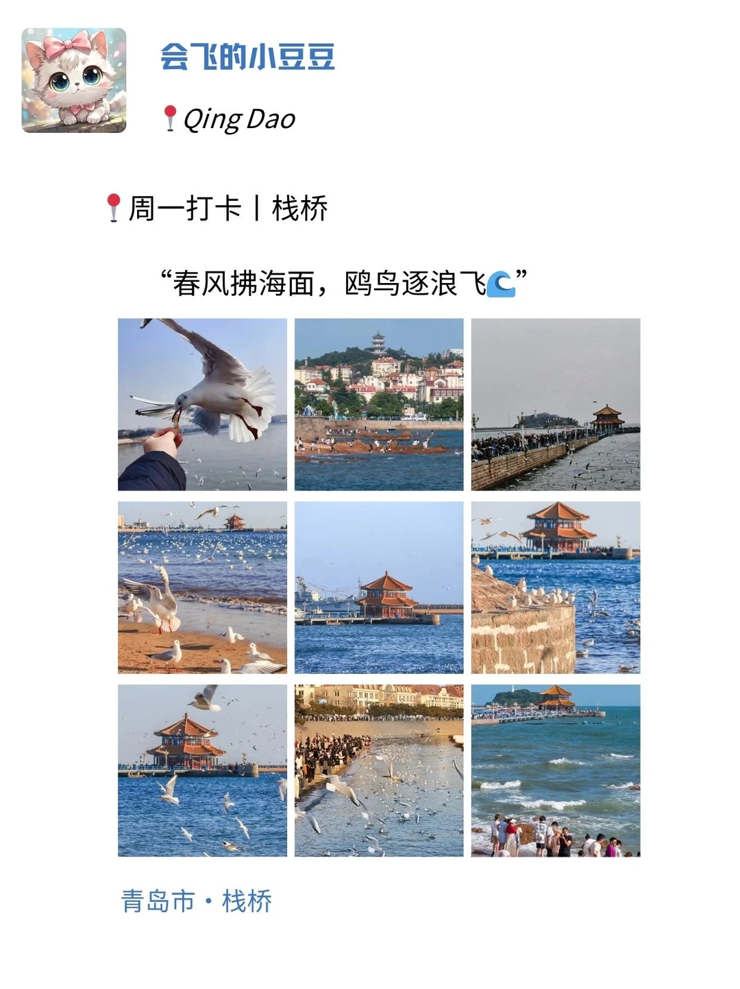 🔥青岛 7 天刷爆 7 条朋友圈