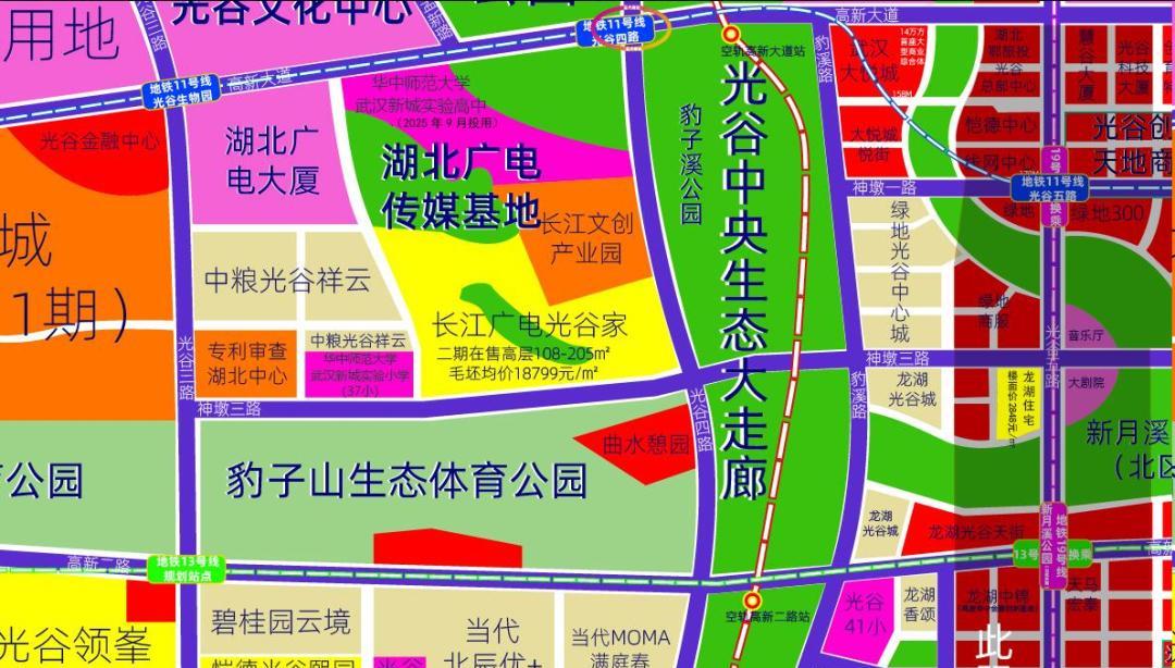 武汉城事！据网友爆料：小象超市终于来光谷啦！10月7日位于光谷四路曲水憩园旁