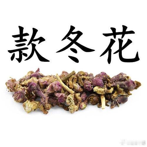 肺虚，久咳不止，重用此药速效；临床中，咳嗽症候首先辨病区分寒热虚实；久咳不止，干