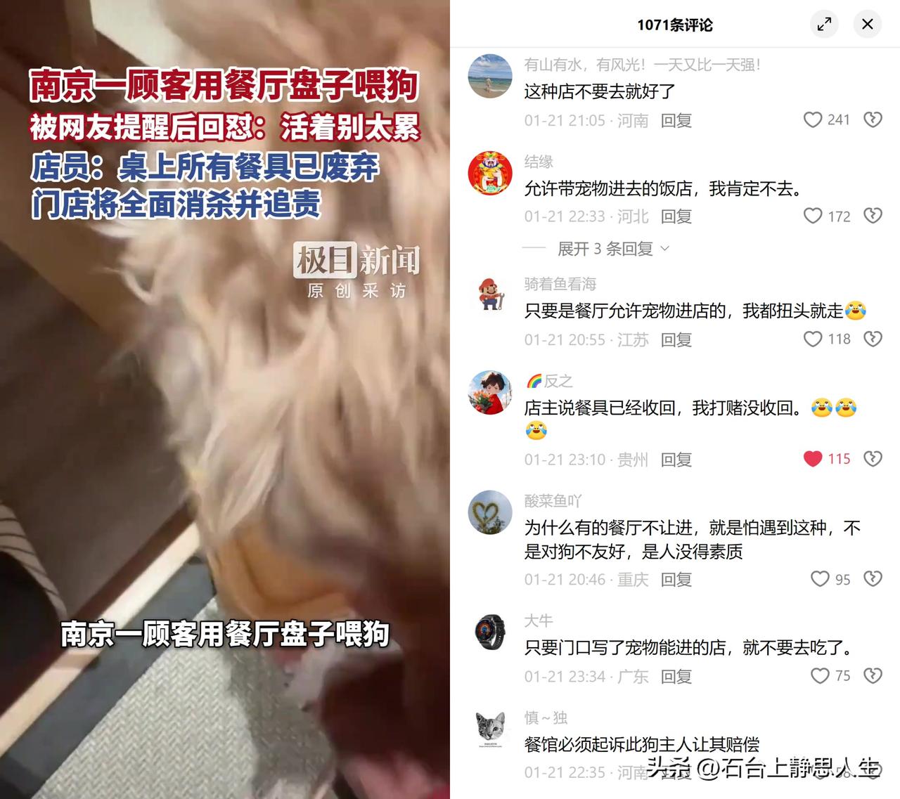 南京有人用餐厅盘子喂狗，被提醒还怼“活着别太累”。虹料理的顾客直接拿人用