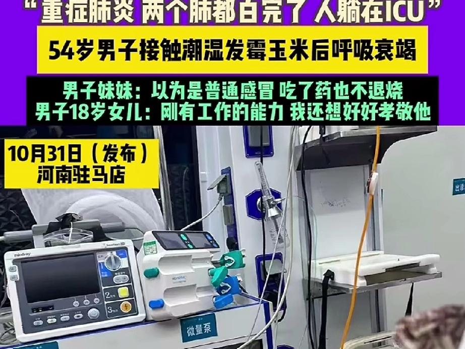 河南54岁的村民，把一堆潮湿发霉的玉米棒打成颗粒后，当晚出现了发烧咳嗽的症状，家