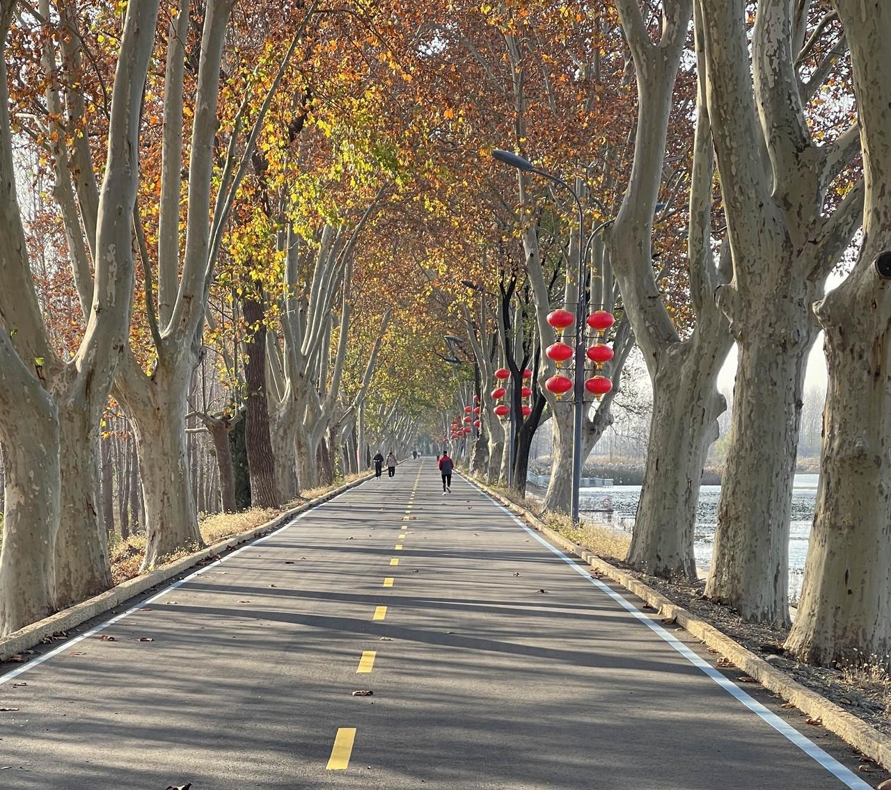 苏北东海的西双湖好看吗？昨天拍摄的照片，这是苏北东海西双湖