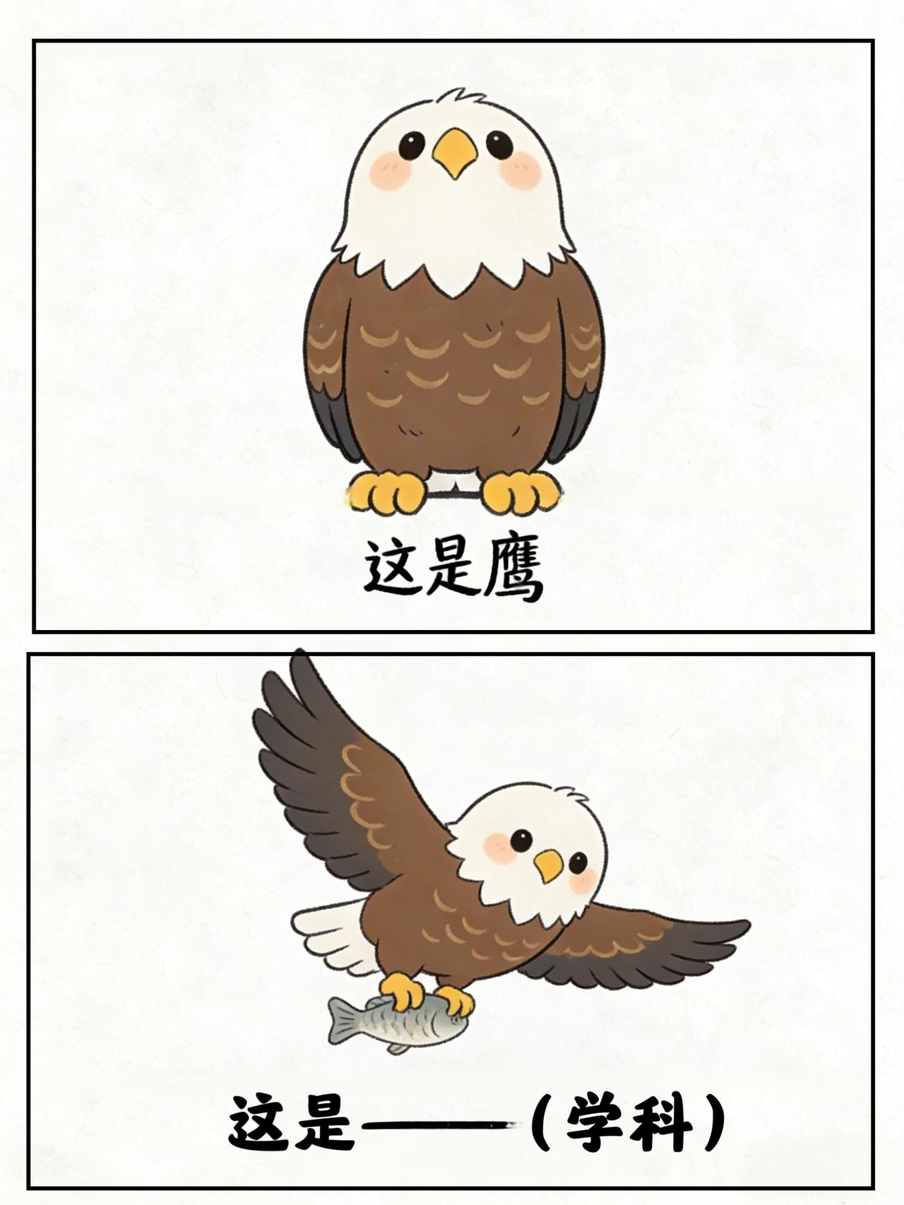 看你脑洞有多大，谐音梗挑战来喽（83）谐音梗奇怪的知识增加了脑洞大开