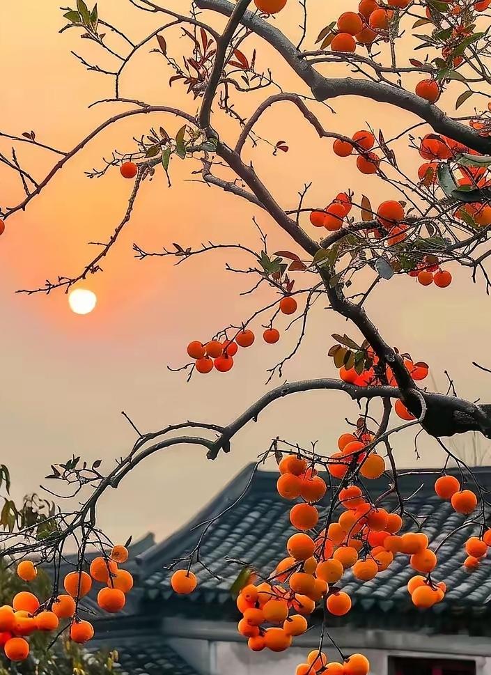 冬至一过就是寒冬了，年纪大的老人要注意保护好身体。冬至一过就是寒冬了，年纪