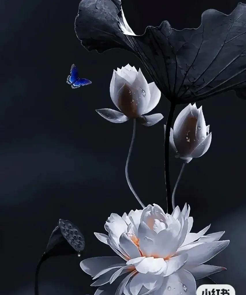 曾仕强先生说：“你应该越来越薄凉，你只管好自己，其他一切因果与你无关，永远不要试