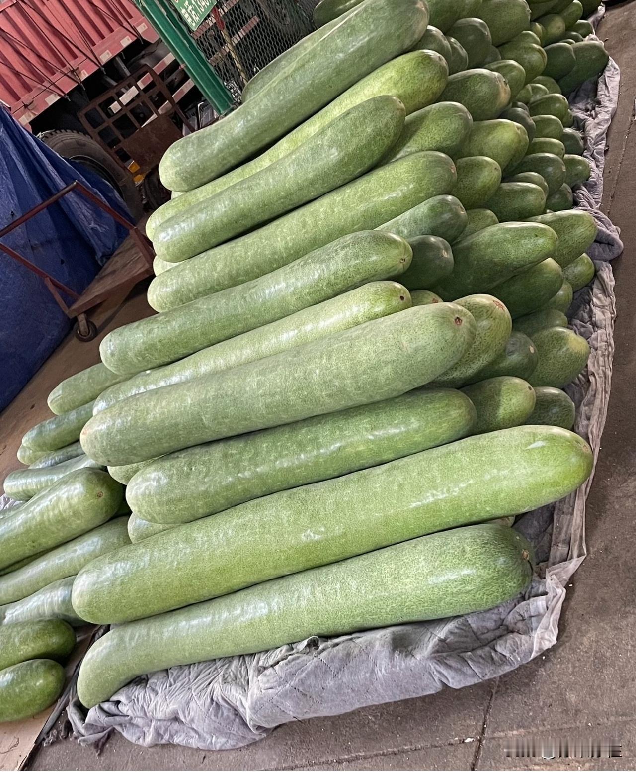 难怪如今生病，尤其是患重病的人日益增多，这与转基因食物脱不了干系！珍视本土作物