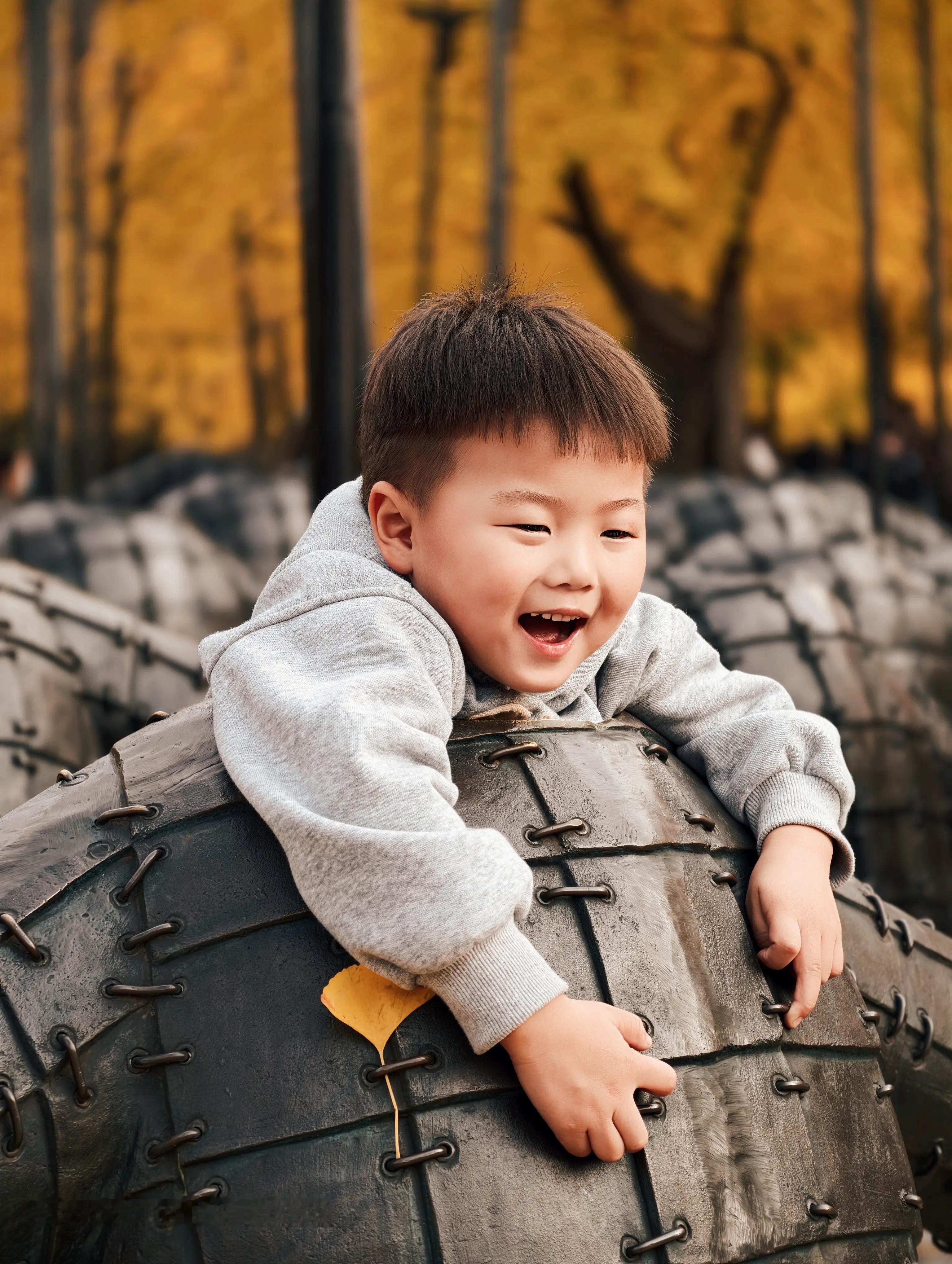 vivoX300Pro秋日生活照背景是暖黄色的秋林，虚化处理突出主体；相机的