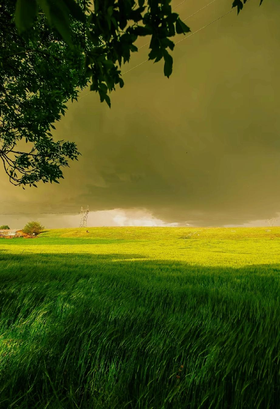 男人怕穷，女人怕丑，老人怕死，小孩怕笨。花怕谢，老怕穷，病怕躺，晚年就怕老伴伤