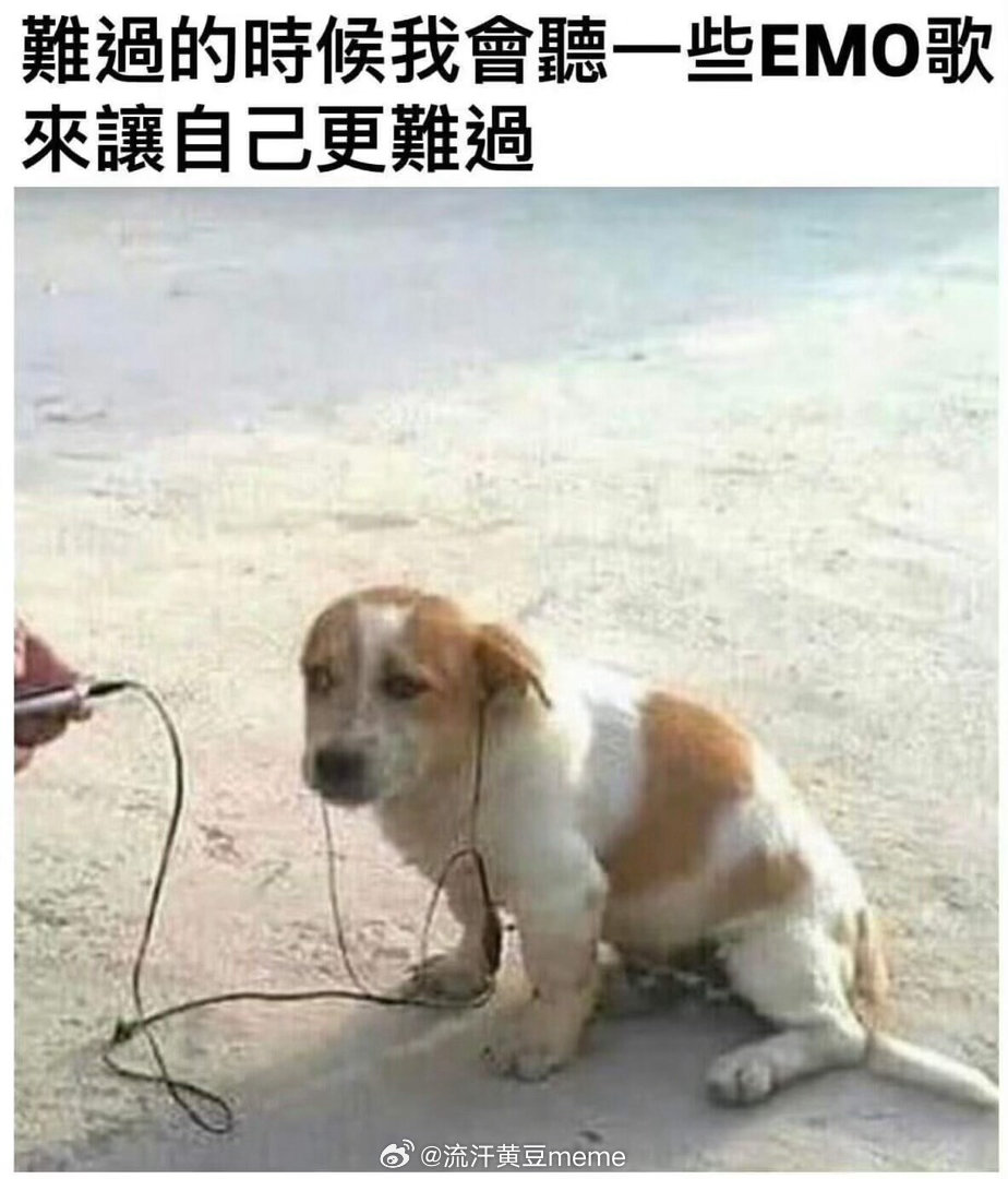 网友投稿图片选集