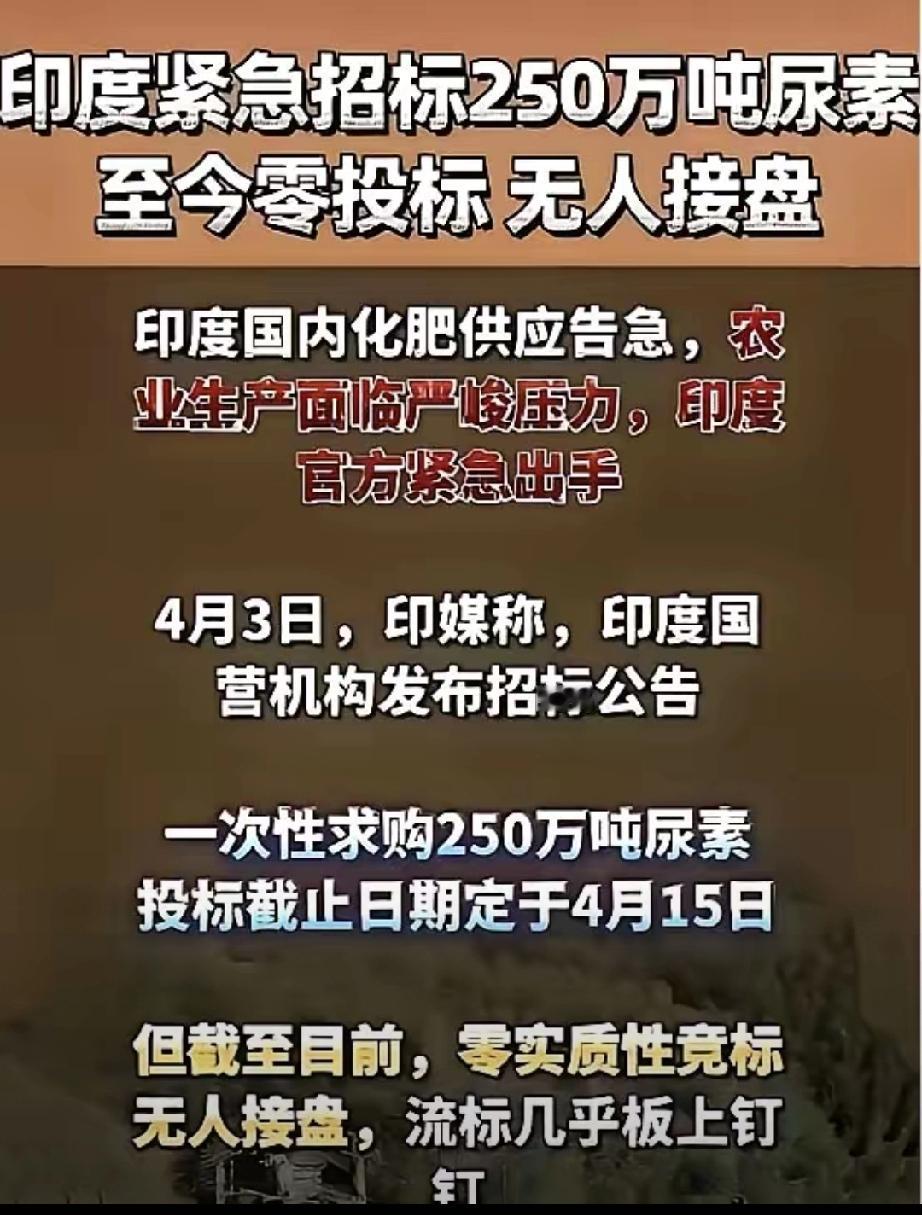 印度轰轰烈烈的尿素招标到期，不出意外的流标了。可在我看来，印度这番操作有点儿戏