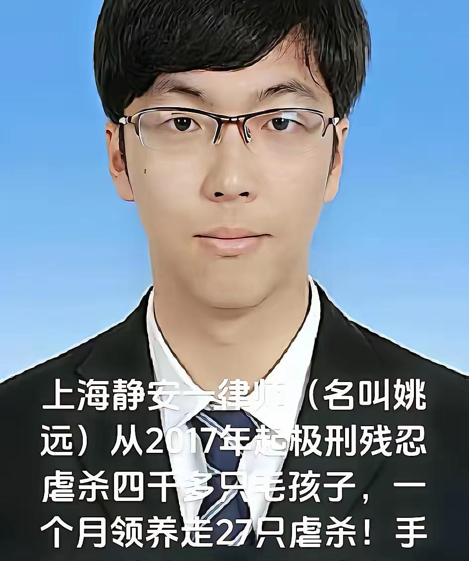妈呀，实在是太变态了！你看看这个叫姚远的年轻律师，外表上斯斯文文的，还带着一副