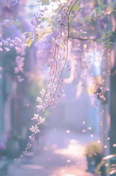 一位养老院的院长非常现实的话：“人老了，一旦失能，真正的孝顺，不是把你留在家里