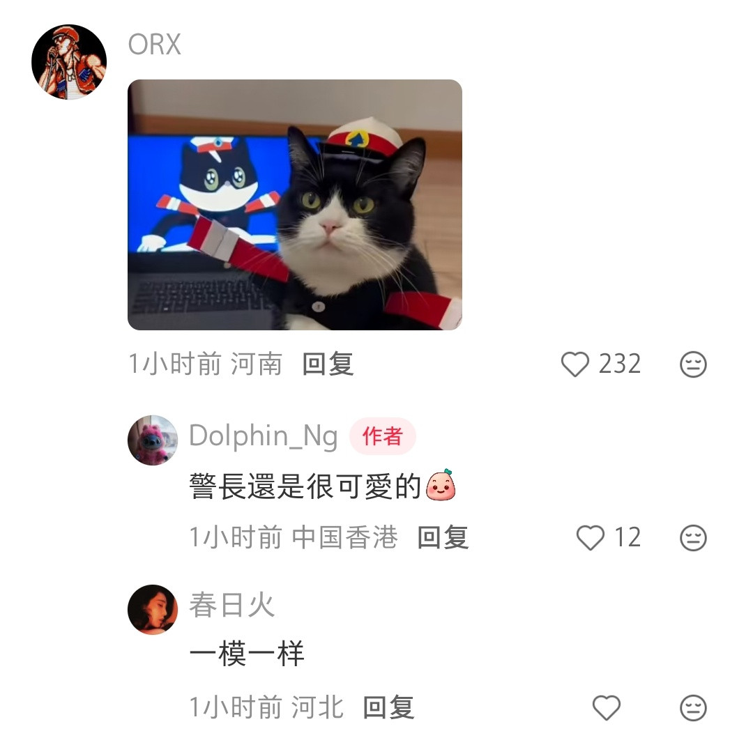 一些卡通猫咪的原型​​​
