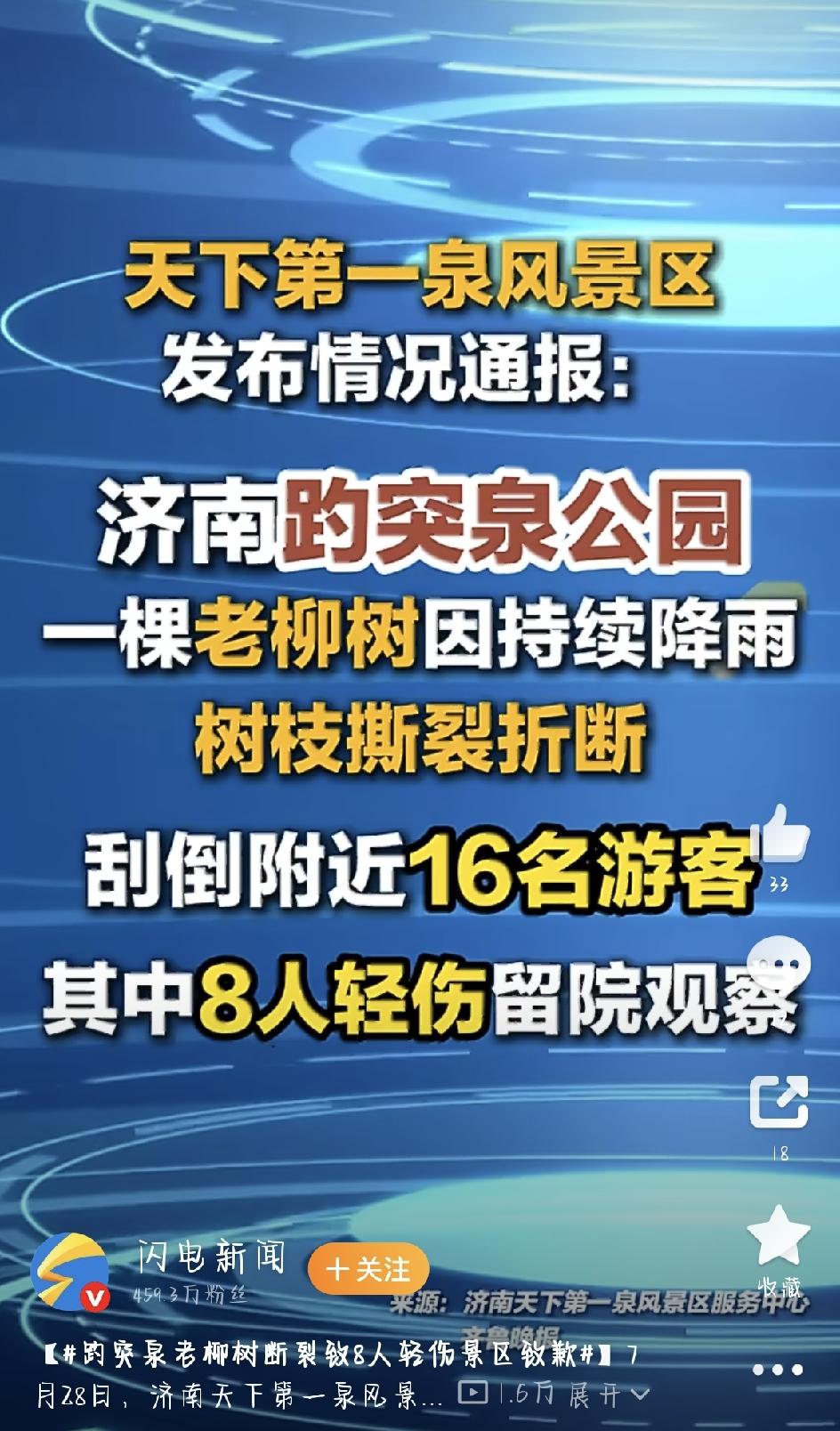 7月27日傍晚，济南趵突泉公园里发生了一场让人捏把汗的意外。园子里一棵老柳树，枝