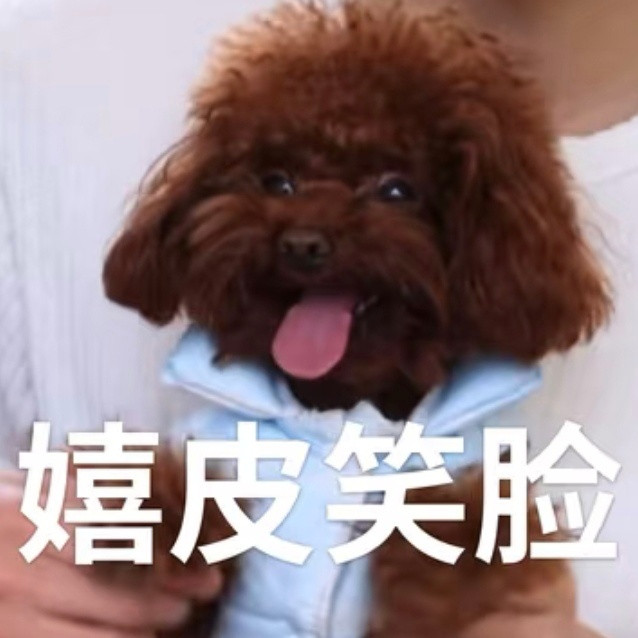 在这个狗屎的夜晚，犹如一阵及时风抚平了我躁动的心
