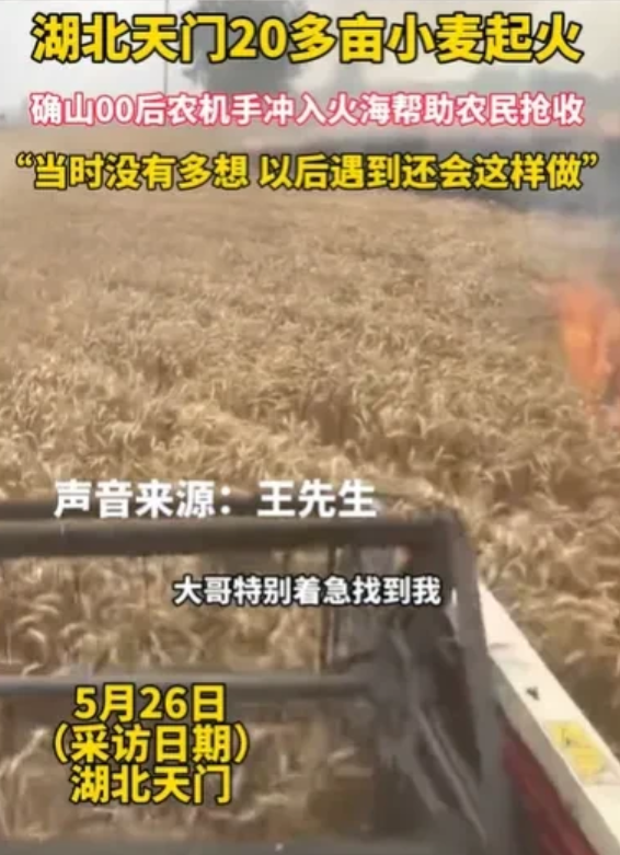 湖北天门，一位种麦子的大哥，匆匆忙忙找到00后的农机手，哽咽地恳求着：能不能帮我