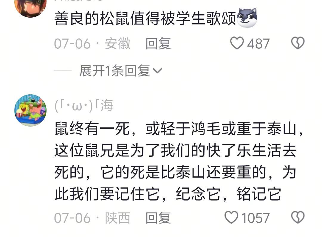 伟大的松鼠值得被人们记住