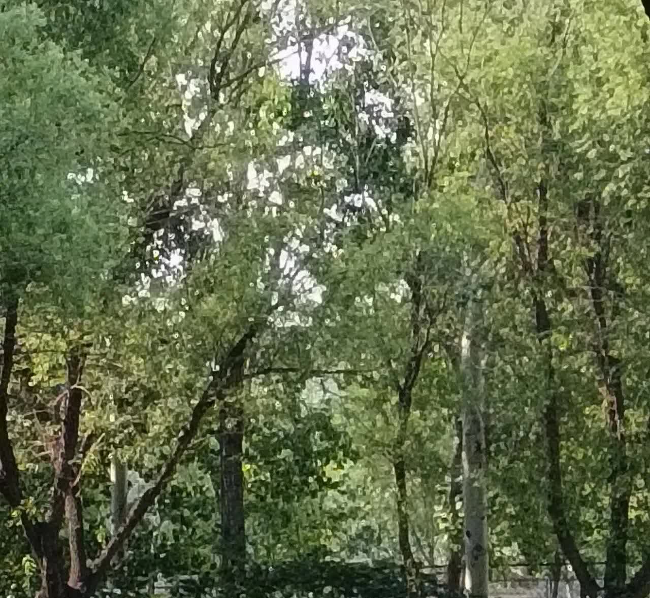 现在的骗子是太多了，不光咱没文化的人受骗，好多大学生公务员也受骗。这不才听朋